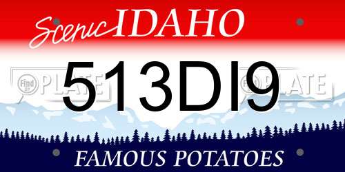 513DI9 Idaho License Plate