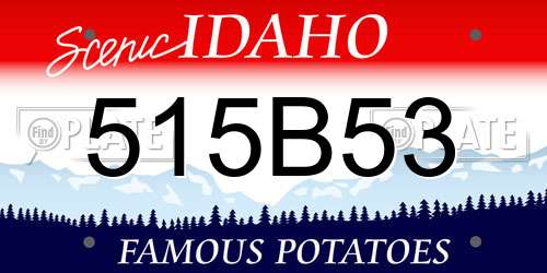 515B53 Idaho License Plate