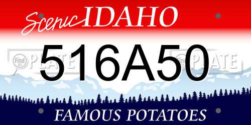 516A50 Idaho License Plate