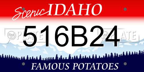 516B24 Idaho License Plate