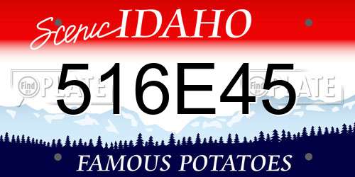 516E45 Idaho License Plate