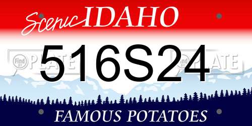 516S24 Idaho License Plate