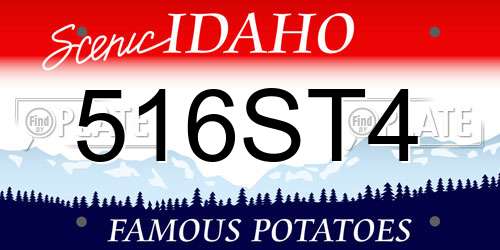 516ST4 Idaho License Plate
