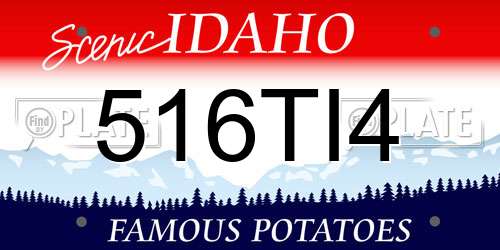 516TI4 Idaho License Plate