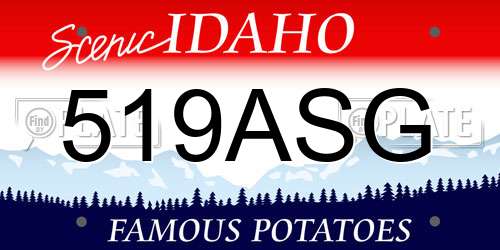 519ASG Idaho License Plate
