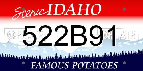 522B91 Idaho License Plate