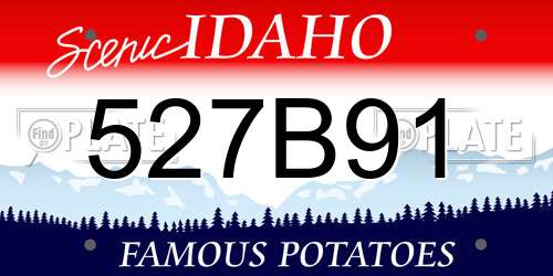 527B91 Idaho License Plate