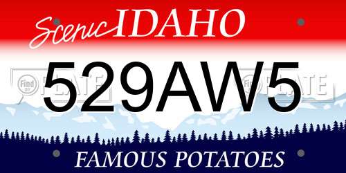 529AW5 Idaho License Plate