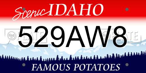 529AW8 Idaho License Plate