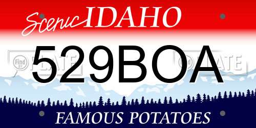 529BOA Idaho License Plate