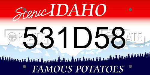 531D58 Idaho License Plate