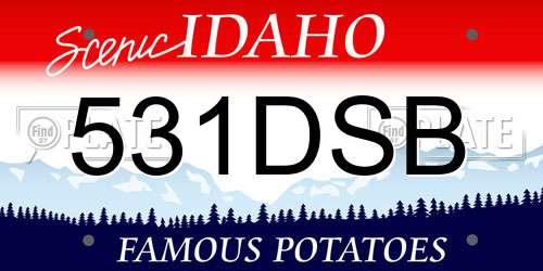 531DSB Idaho License Plate