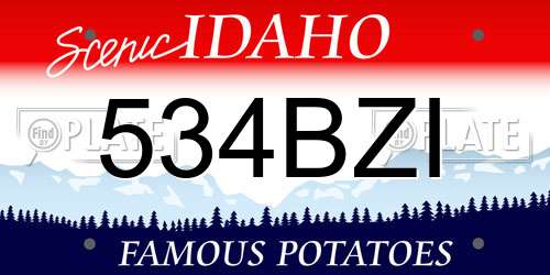 534BZI Idaho License Plate