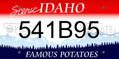 541B95 Idaho License Plate