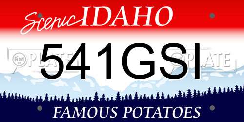 541GSI Idaho License Plate