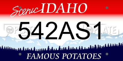 542AS1 Idaho License Plate