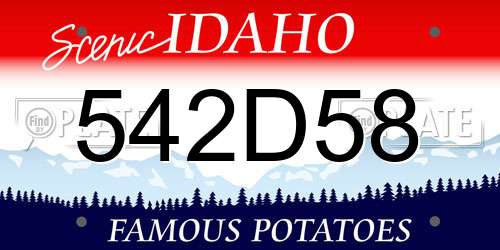 542D58 Idaho License Plate