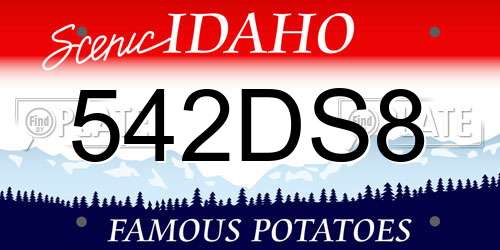 542DS8 Idaho License Plate