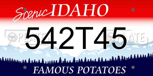 542T45 Idaho License Plate