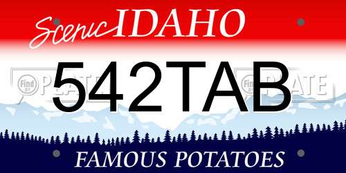 542TAB Idaho License Plate
