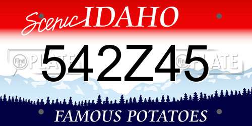 542Z45 Idaho License Plate