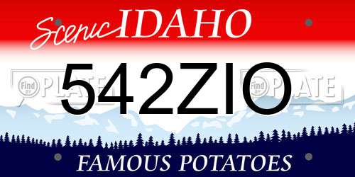542ZIO Idaho License Plate
