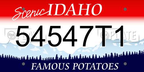 54547T1 Idaho License Plate