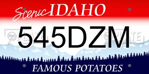 545DZM Idaho License Plate