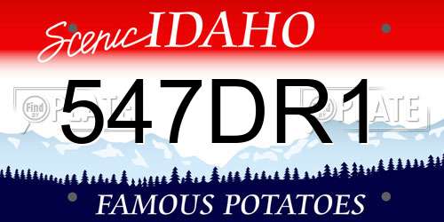 547DR1 Idaho License Plate