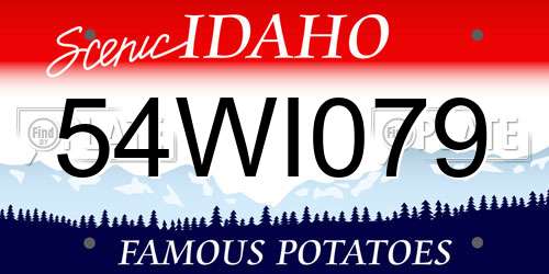 54WI079 Idaho License Plate
