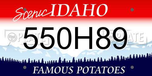 550H89 Idaho License Plate