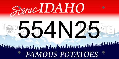 554N25 Idaho License Plate