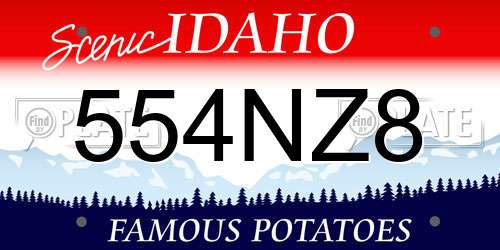 554NZ8 Idaho License Plate