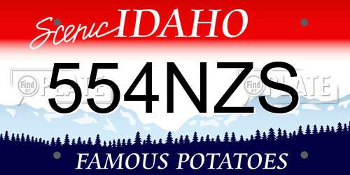 554NZS Idaho License Plate