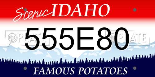 555E80 Idaho License Plate