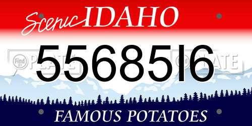 55685I6 Idaho License Plate