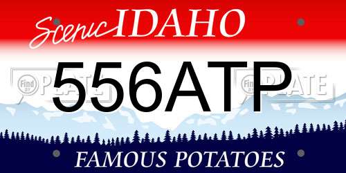 556ATP Idaho License Plate