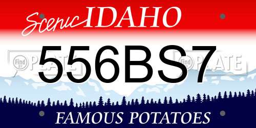 556BS7 Idaho License Plate