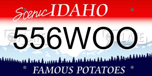 556WOO Idaho License Plate