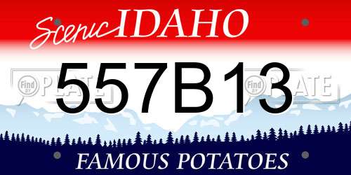 557B13 Idaho License Plate