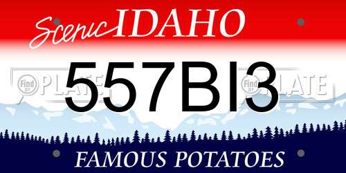 557BI3 Idaho License Plate