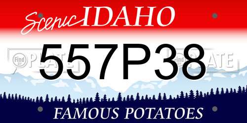 557P38 Idaho License Plate