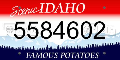 5584602 Idaho License Plate