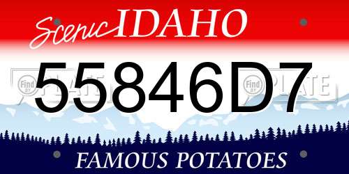 55846D7 Idaho License Plate