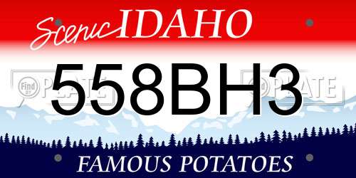 558BH3 Idaho License Plate