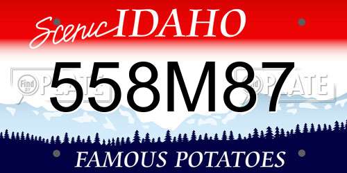 558M87 Idaho License Plate