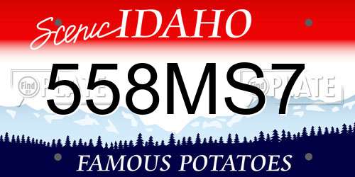 558MS7 Idaho License Plate