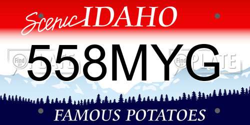 558MYG Idaho License Plate