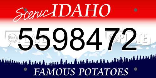 5598472 Idaho License Plate