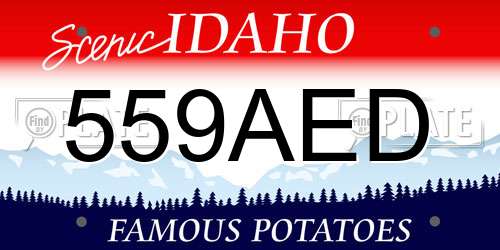 559AED Idaho License Plate